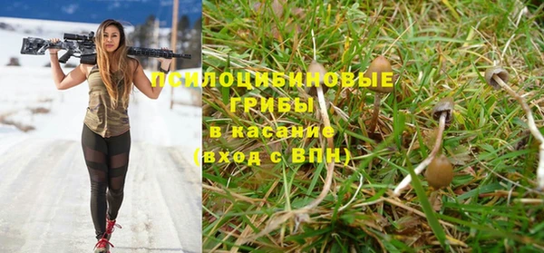 первитин Балахна