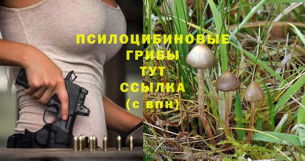стафф Балабаново