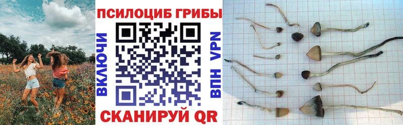 Псилоцибиновые грибы MAGIC MUSHROOMS купить наркотики сайты Туймазы